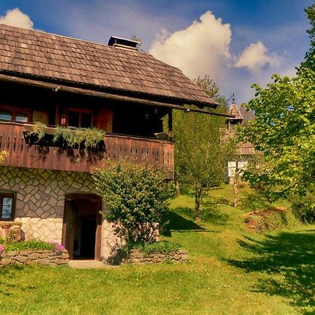 Domacija Koklej - Apartments Vintage Vacation Luce Екстер'єр фото