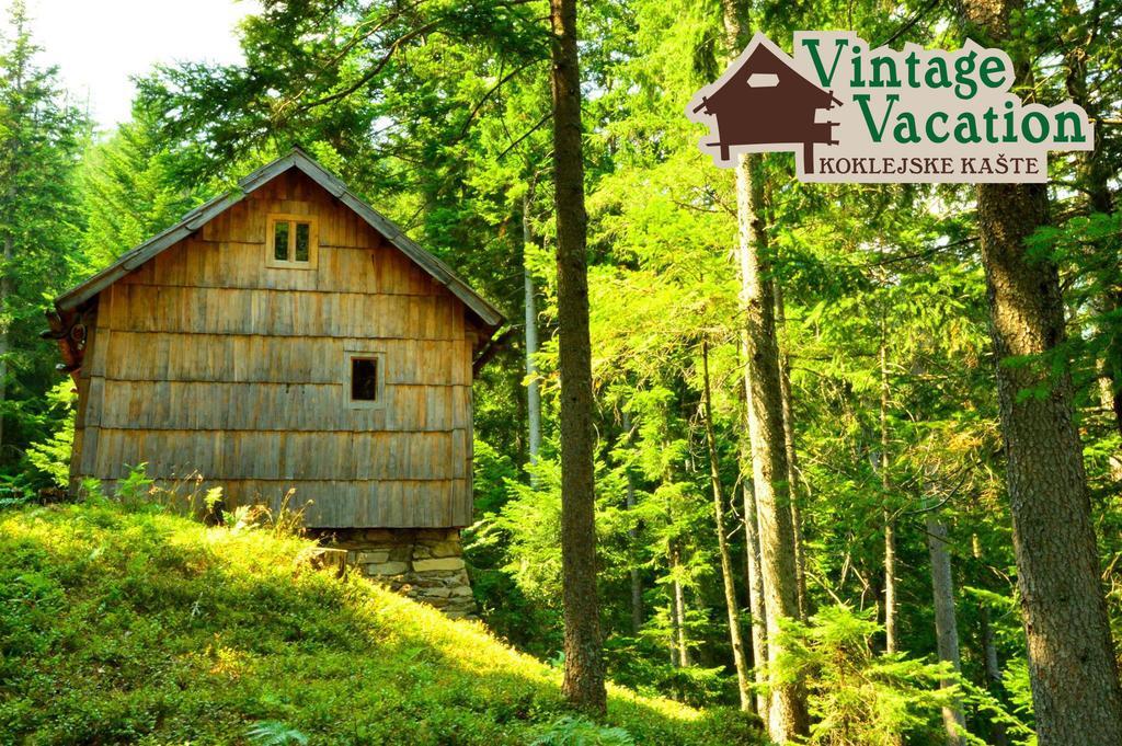 Domacija Koklej - Apartments Vintage Vacation Luce Екстер'єр фото