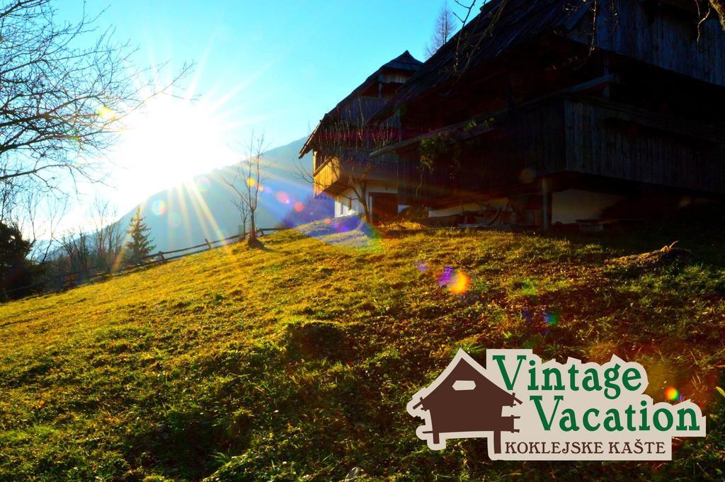 Domacija Koklej - Apartments Vintage Vacation Luce Екстер'єр фото