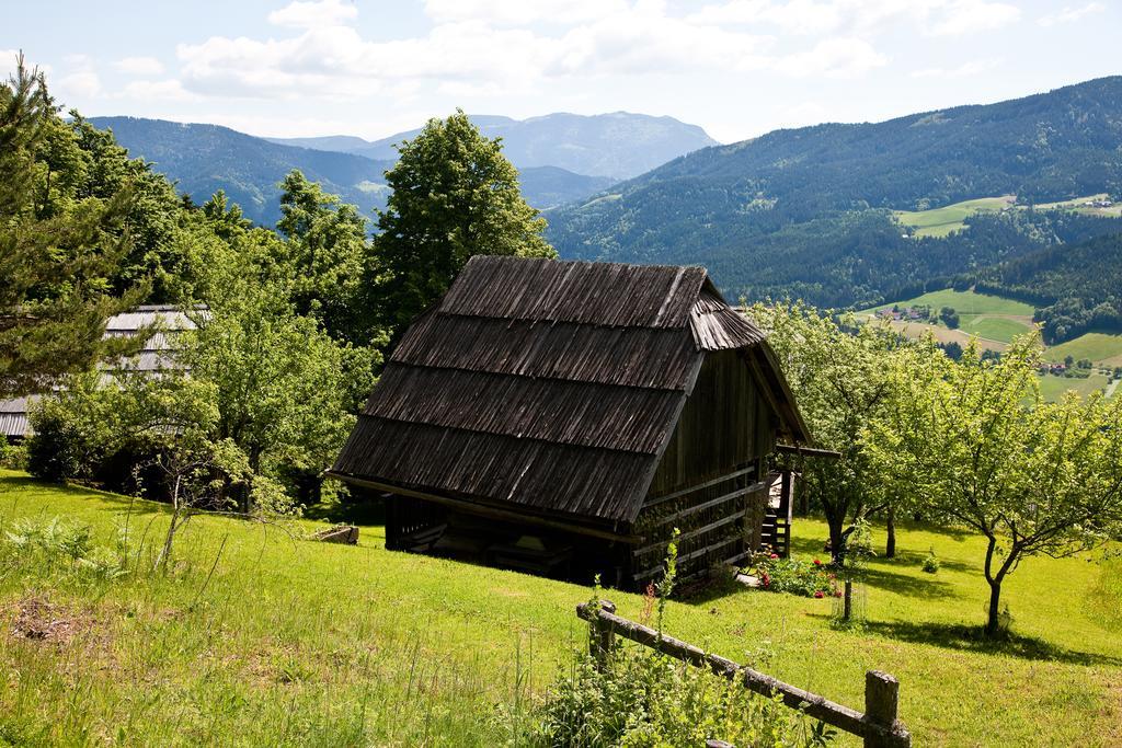 Domacija Koklej - Apartments Vintage Vacation Luce Екстер'єр фото