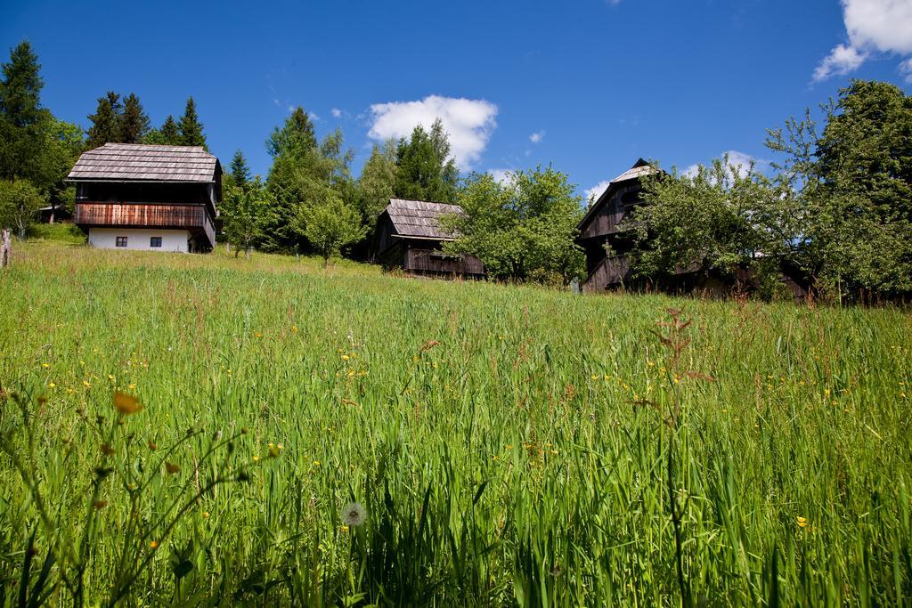 Domacija Koklej - Apartments Vintage Vacation Luce Екстер'єр фото