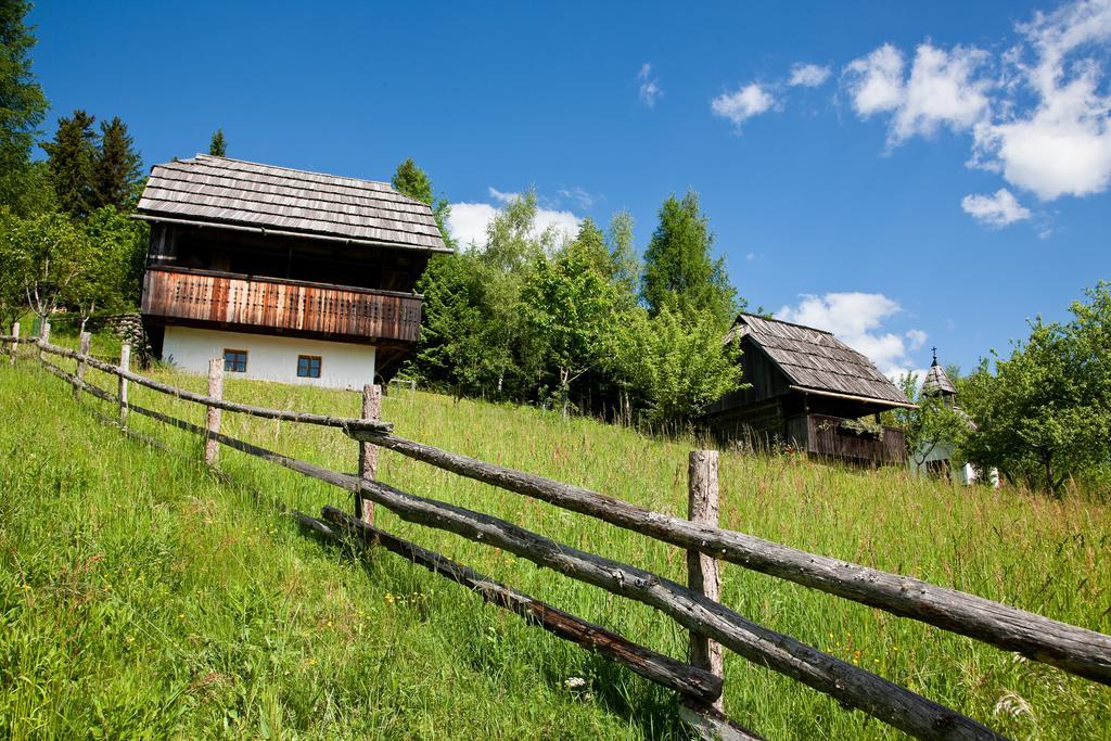 Domacija Koklej - Apartments Vintage Vacation Luce Екстер'єр фото